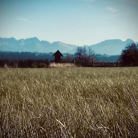 Malowany Domek W Gorach Ciche  エクステリア 写真