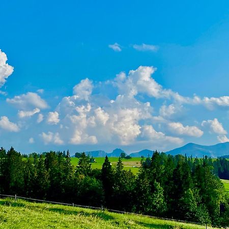 Malowany Domek W Gorach Ciche  エクステリア 写真