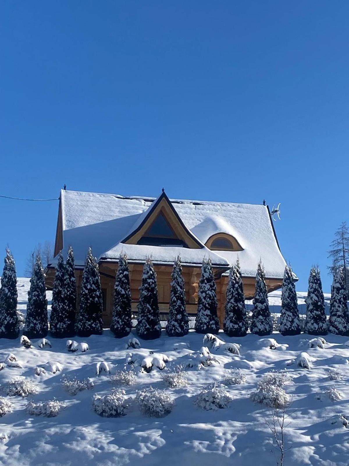 Malowany Domek W Gorach Ciche  エクステリア 写真
